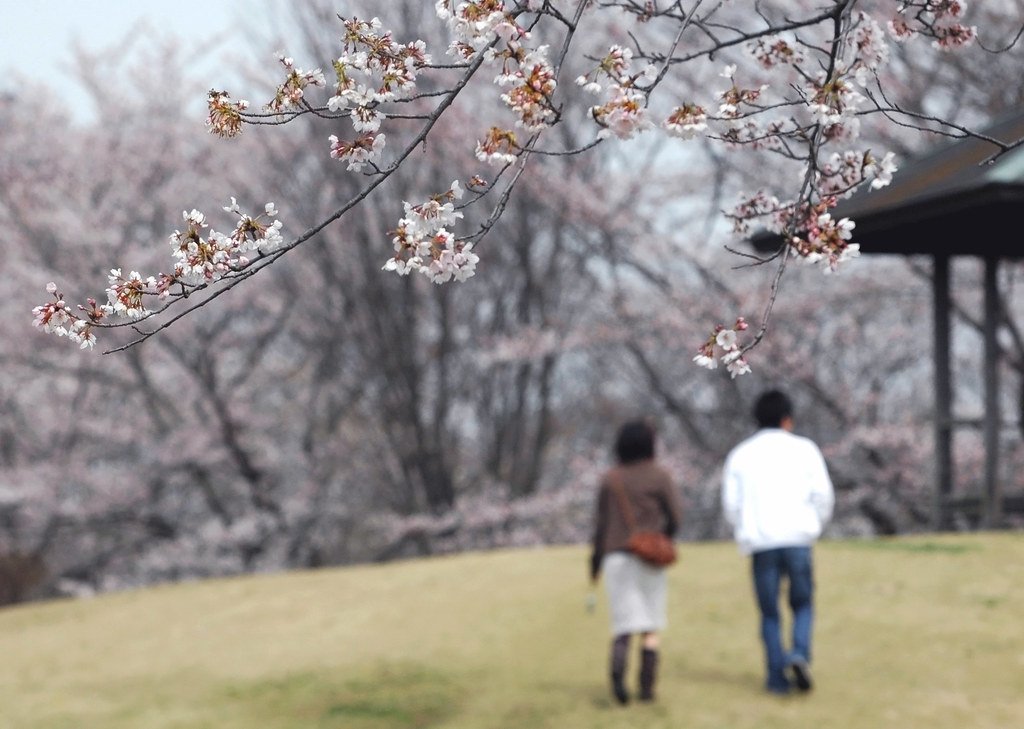 🏞️ 옷토누마 공원(옷토누마 코엔) 이미지 3